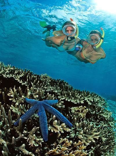Buceo Actividades Buceo Actividades